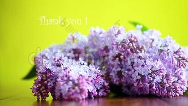 盛开的春天紫丁香的枝条